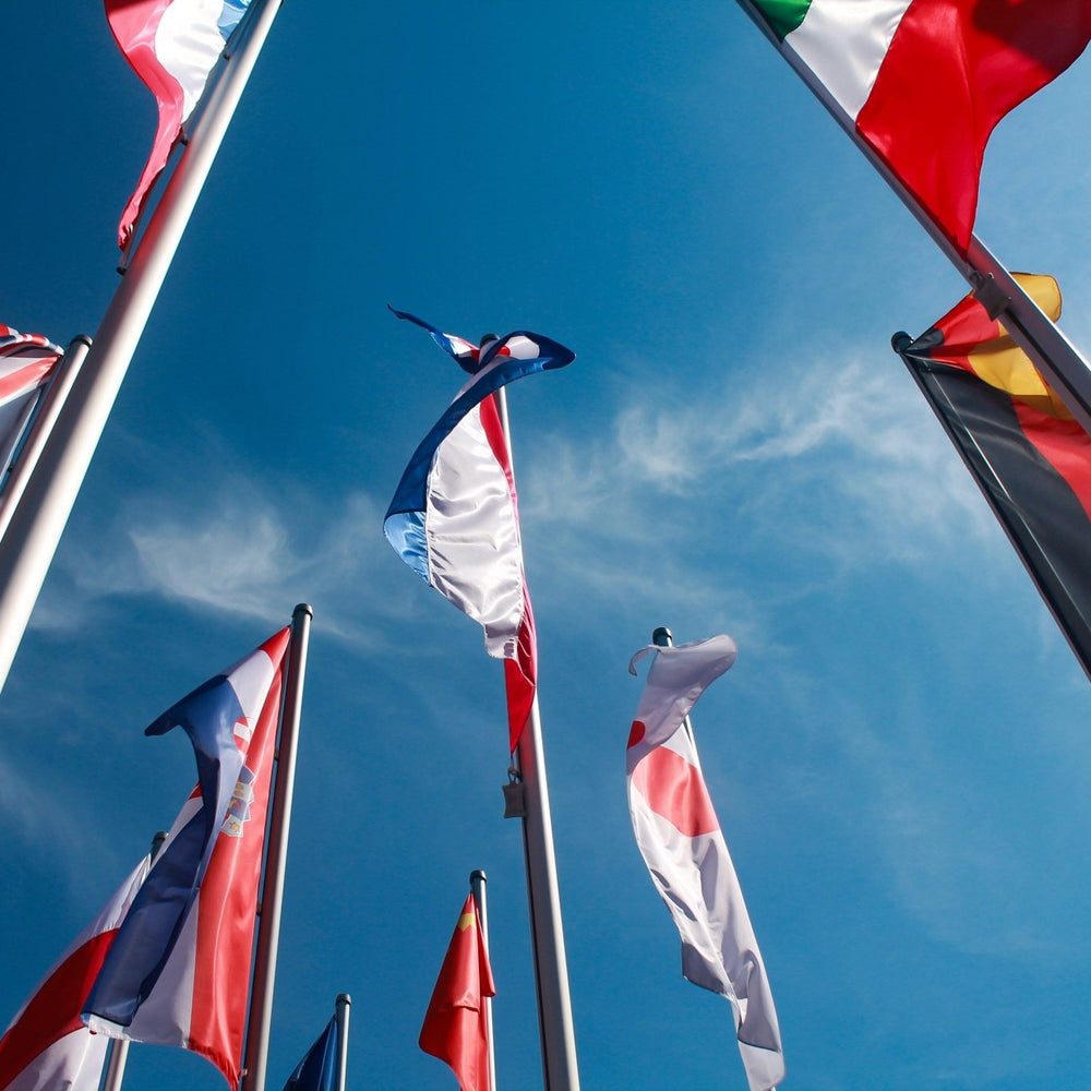 Casa Gomez levert nu ook olijfolie naar: Belgie, Duitsland en Singapore - Casa Gomez - Spaanse biologische extra vierge olijfolie