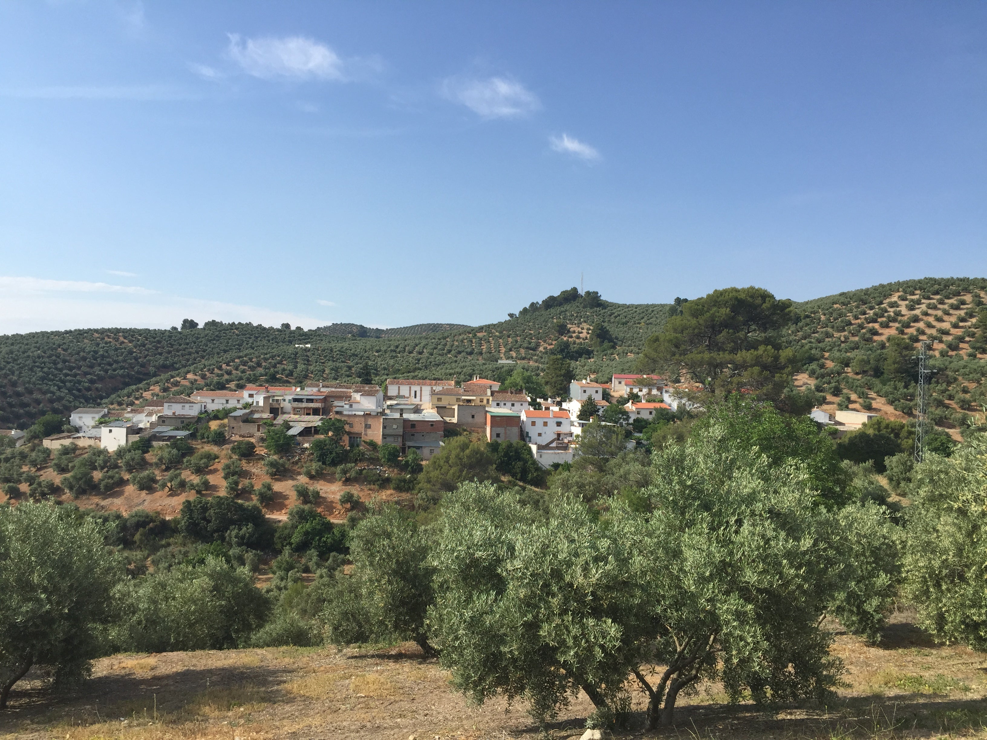 Los Prados in Jaen, geboortedorp van mijn vader. 