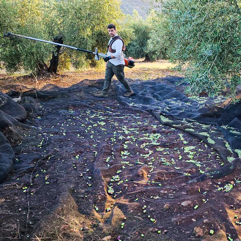 
                      
                        Casa Gomez Extra Vierge olijfolie - Casa Gomez - Spaanse biologische extra vierge olijfolie
                      
                    