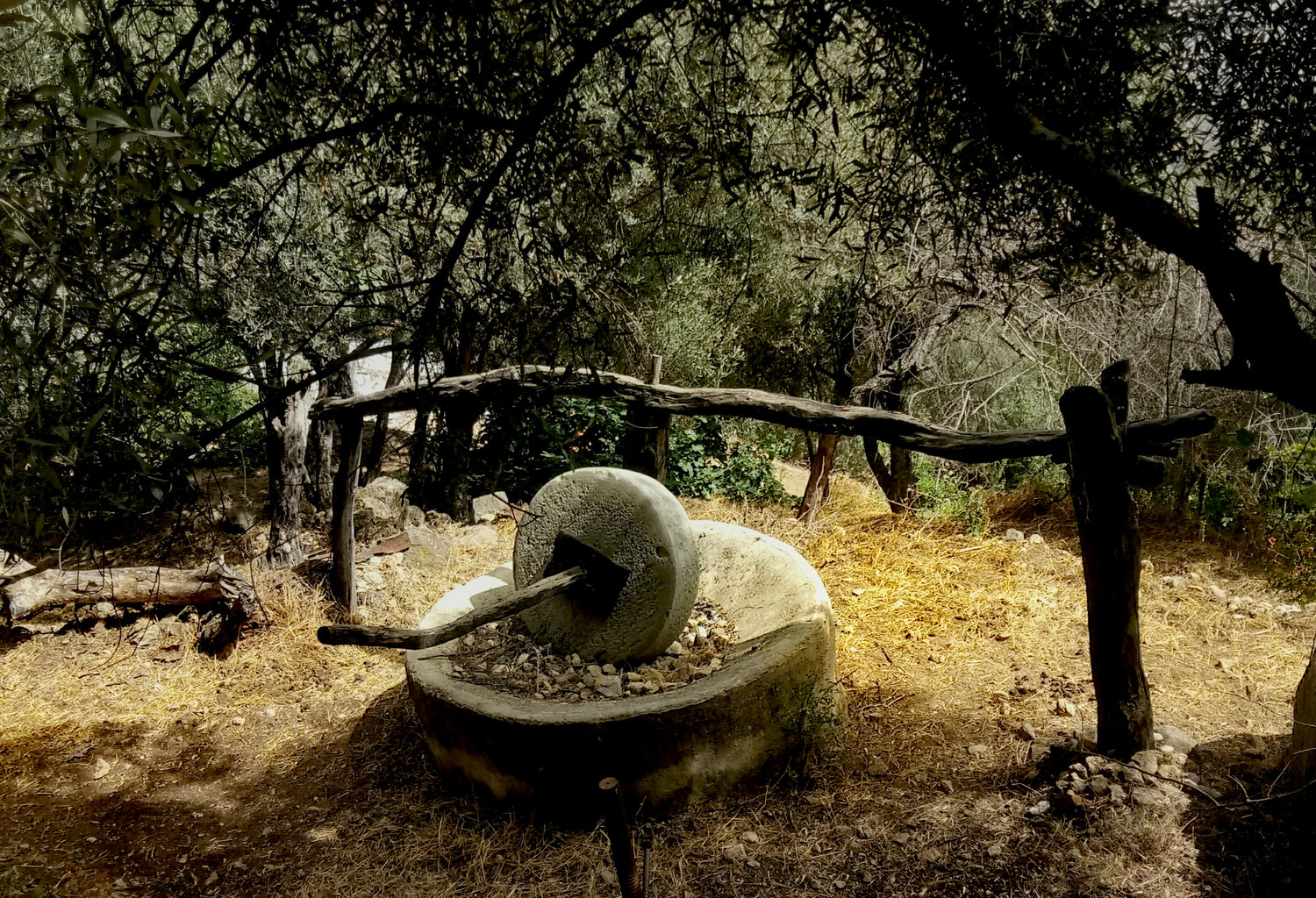 Traditionele olijfolie persmethode